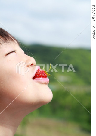 イチゴを食べる子供 5077053