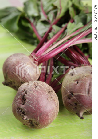 New beetroot New beetroot 5078786