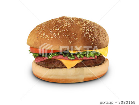 cheeseburger cheeseburger 5080169
