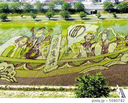 青森県南津軽郡田舎館村　田んぼアート　2012年 5080782