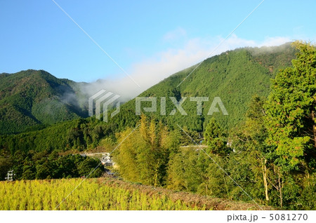 風伝峠の風伝おろし 5081270