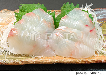 おいしいひらめのお造り 5081429