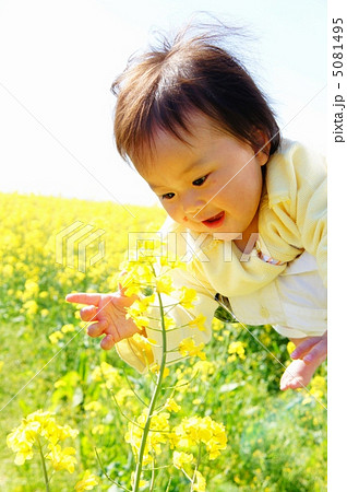 菜の花畑と女の子 5081495