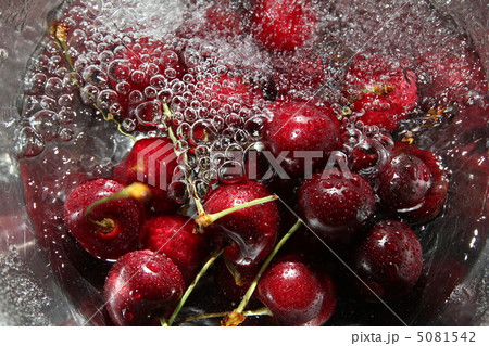 洗っているアメリカンチェリー 5081542