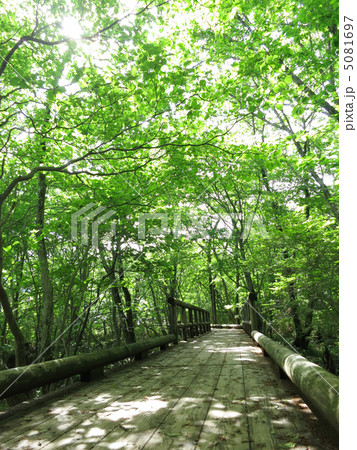 自然研究路 5081697