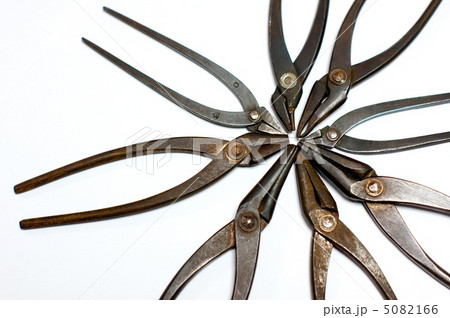 ペンチの群れ ペンチの群れ 5082166