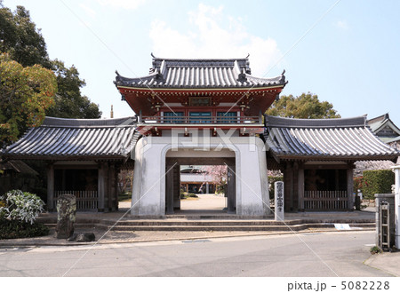 四国霊場第6番札所「安楽寺」山門と桜 5082228