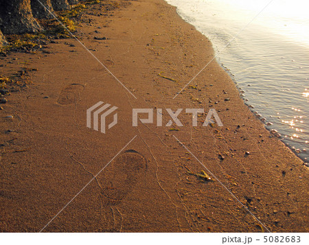 滋賀県琵琶湖　湖岸の足跡 5082683