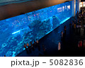 ドバイ　ドバイ水族館（ドバイモール内） 5082836