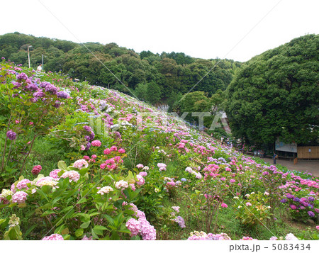 形原温泉・あじさいの里 5083434