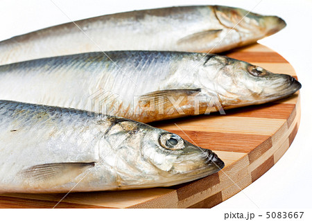 Fresh fishes on white background 5083667