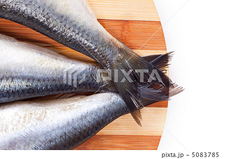 close up of Fish tails 5083785