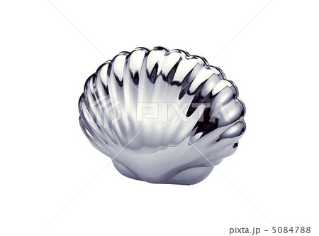 metal shell isolated on white metal shell isolated on white 5084788