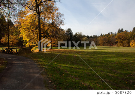 creek and bridge in the autumn forest 5087320