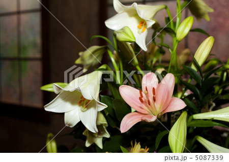 beautiful bouquet of flowers in a vase beautiful bouquet of flowers in a vase 5087339