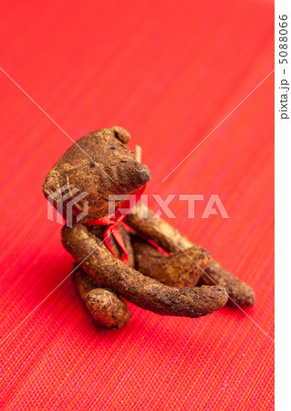Teddy bear  handmade on a red background 5088066