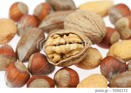 background of various kinds of nuts background of various kinds of nuts 5088172