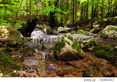 初夏の滝川渓谷 初夏の滝川渓谷 5088367
