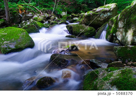 初夏の滝川渓谷 5088370