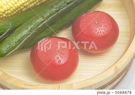 夏野菜 5088878