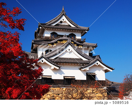 紅葉の彦根城 紅葉の彦根城 5089516