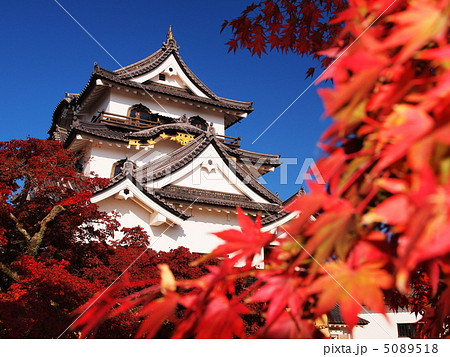紅葉の彦根城 紅葉の彦根城 5089518