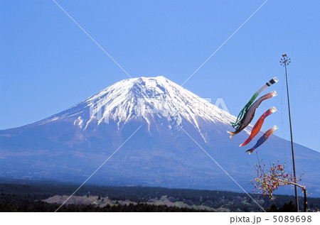 五月晴の空に泳ぐ 五月晴の空に泳ぐ 5089698