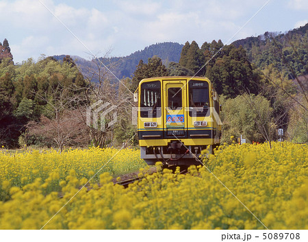 いすみ鉄道「なのはな」列車 いすみ鉄道「なのはな」列車 5089708