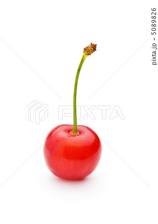 さくらんぼ　一個 5089826