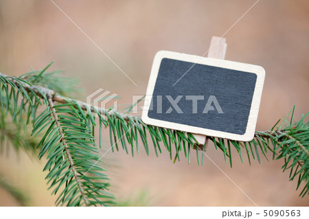 blackboard attached to a tree branch in the forest blackboard attached to a tree branch in the forest 5090563