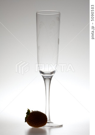 wine glass and strawberries on a gray background 5090583