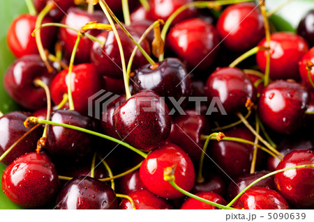 background of cherry background of cherry 5090639