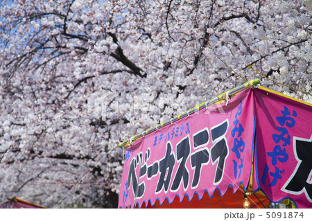 露店と桜 露店と桜 5091874