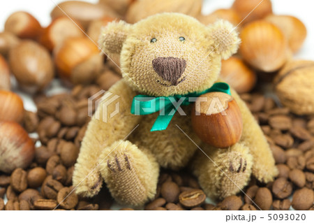 teddy bear with a bow, coffee beans and nuts 5093020