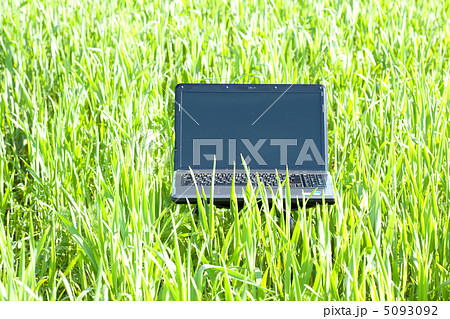 laptop in green grass 5093092