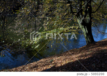 beautiful autumn landscape with colorful trees and a pond beautiful autumn landscape with colorful trees and a pond 5093200