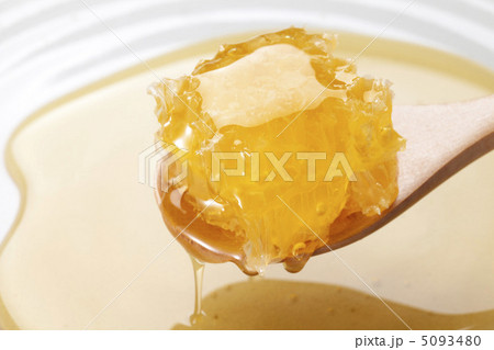 ハチミツ(巣蜜) ハチミツ(巣蜜) 5093480