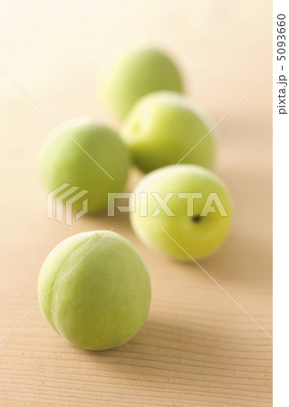 青梅 青梅 5093660