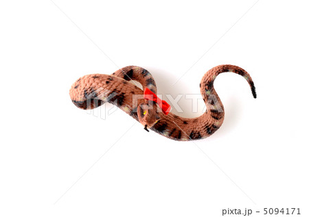蛇 蛇 5094171