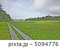 尾瀬　大江湿原 5094776