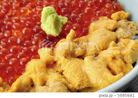 うに丼 うに丼 5095681