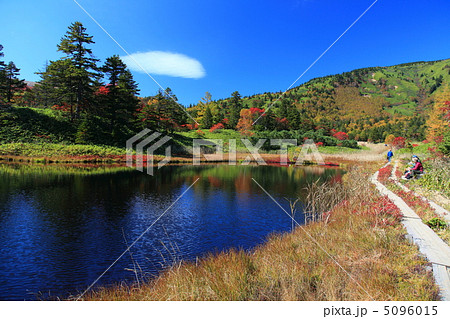 草津白根山 芳ヶ平湿原の紅葉 草津白根山 芳ヶ平湿原の紅葉 5096015