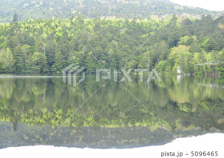 映り込み 5096465