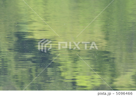 映り込み 映り込み 5096466