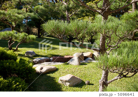 coniferous trees and rocks on a background of blue sky coniferous trees and rocks on a background of blue sky 5096641