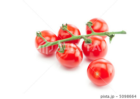 bunch of tomato isolated on white bunch of tomato isolated on white 5098664