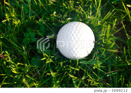 background of spring green grass and golf ball 5099212