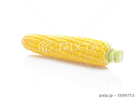 ripe yellow corn isolated on white 5099753