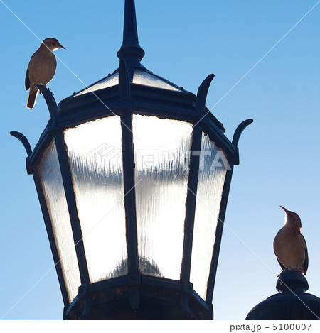 two old lanterns and two birds against the blue sky 5100007