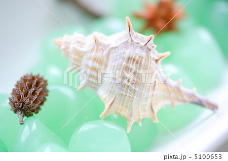 夏のイメージ 5100653